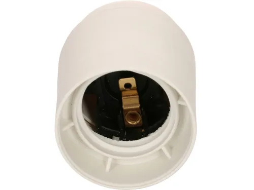 Max Hauri AG 165781 light socket White E27