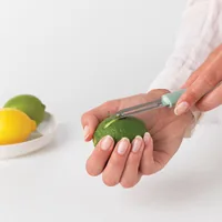 Brabantia Sparschäler Tasty+ plus Raspel, Jade Green - Detailfarbe: Hellgrün - Zertifikate: Keine Zertifizierung - Schälertyp: Sparschäler
