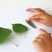 Primo Wachsmalstifte Triangel Schulbox 30-teilig - Verpackungseinheit: 1 Stück - Set: Ja - Detailfarbe: Mehrfarbig - Eigenschaft-Stift: Keine - Farbstifte & Wachsmalstifte-Art: Strassenmalkreide - Anwender: Schule