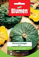 Blumen Samen Kürbis Marina di Chioggia - Bio: Nein - Aussaatzeit: April - Mai - Sonneneinstrahlung: Sonnig - Gemüsegruppen: Fruchtgemüse - Saattyp: Saatgut - Erntezeit: September - August - Oktober
