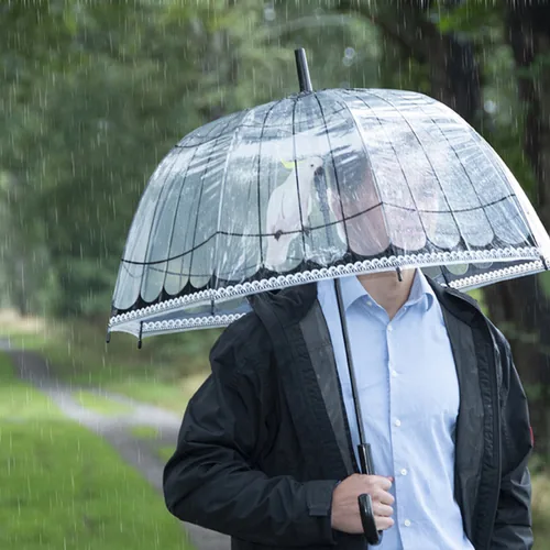 Esschert Design TP321 umbrella Black, Multicolour, Transparent Steel Full-sized Rain umbrella