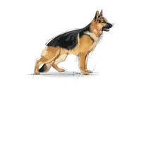 Royal Canin Maxi Adult 4 kg Adulte Légumes