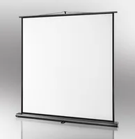 Celexon Mobile Leinwand Ultramobil Pro 120x75cm 16:10 - Leinwandtyp: Mobile-Leinwand - Bildbreite: 116 cm - Bildhöhe: 72 cm - Format: 16:10 - Gewicht: 5.5 kg - Fernbedienung: Nein
