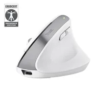 Trust Bayo+ mouse Office Right-hand RF Wireless + Bluetooth Optical 2400 DPI