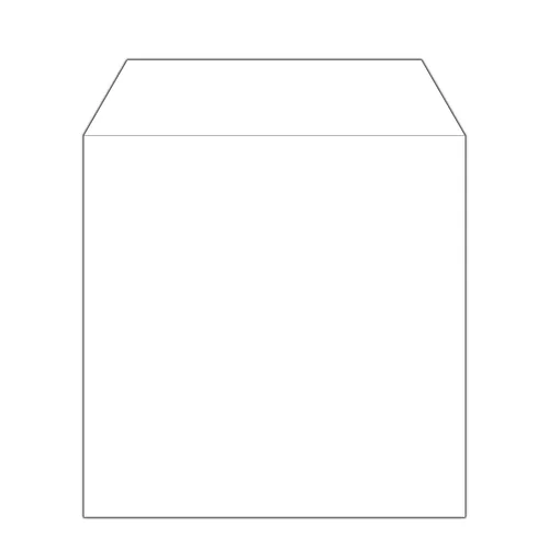 MediaRange CD Paperbag 100pcs,ohne Fenster, Retailpack