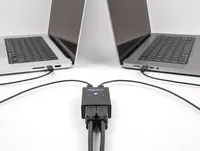 DELOCK USB 2.0 Switch für 2 PC an 4 Geräten