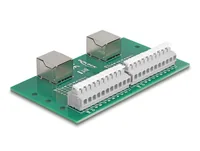 DELOCK RJ50 2 x Buchse zu 2 x Terminalblockmit Drucktaster