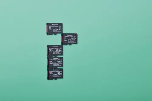 KINGSTON 256GB -  micSDXC -  Canvas -  Select -  Plus -  Gen3 -  150R -  A1 -  Single -  Pack -  w/o ADP