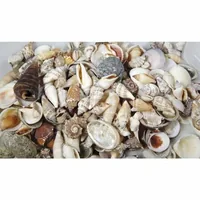 Ambiance 1710.214 decorative garden stone