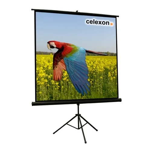 Celexon 1090014 projection screen 1:1