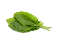 Click and Grow Samen Sauerampfer - Bio: Nein - Sonneneinstrahlung: Hell und warm - Aussaatzeit: April - November - März - Mai - Juli - Dezember - Februar - Oktober - Juni - September - August - Januar - Gemüsegruppen: Salat - Blatt- und Stängelgemüse - Sa