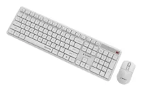 Gembird Silent key Pro Business wireless desktop set, white, US layout