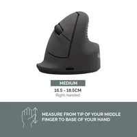 Fellowes Breyta Ergonomic Vertikale Maus M Rechtshänder