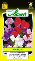 Samen Mauser 20336944 flower seeds/bulbs Sweet pea