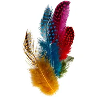 Creativ Company 51813 feather Multicolour