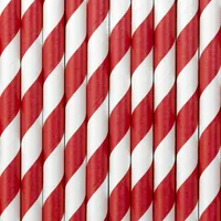 PartyDeco SPP1-007 disposable drinking straws 10 pc(s) Red, White