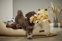 Wolters Hunde-Spielzeug Plüschhund, 20 cm - Produkttyp: Plüsch-/Stofftier - Tierart: Hund