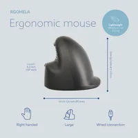 R-Go Tools RGOHELA Maus Rechts USB Typ-A Optisch 2400 DPI