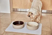 OYOY Napfunterlage Koko, Ice - Tierart: Katze - Hund - Produkttyp: Napfunterlage