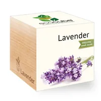 Feel Green 299290 flower seeds/bulbs Lavender