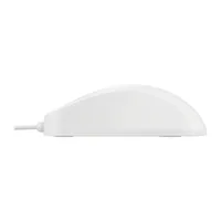 Contour Design Active Key AK-PMH1 souris Médical Ambidextre USB Type-A Optique 1000 DPI