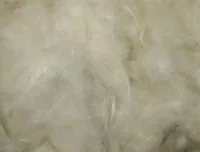 Nobby Kapokwolle 50 g - Nagetierart: alle Kleinnagetiere - Verpackungsgrösse: 0.05 kg - Tierart: Nager