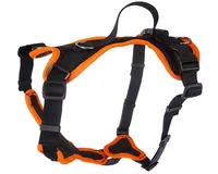 Grossenbacher Welpengeschirr Popp-it, Orange - Hundegrösse: M - Detailfarbe: Orange - Produkttyp: Geschirr - Tierart: Hund