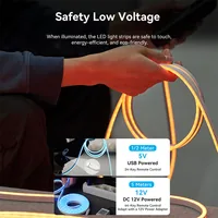 Vention Silicone Neon LED strip with remote control, 12V, 2m