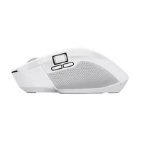 Trust Ozaa+ mouse Office Right-hand RF Wireless + Bluetooth Optical 3200 DPI