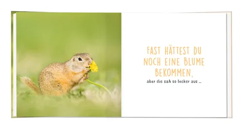 Grafik Werkstatt Minibuch Heute ist dein Glückstag - Sprache: Deutsch - Thema: Achtsamkeit - Anlass: Geburtstag - Empfänger Geschenke: Für Frauen - Für Männer - Produkttyp Geschenke: Buch