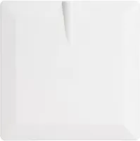 Max Hauri AG 169315 lighting accessory Cover