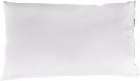PAD 53500 bed pillow Rectangular 30 x 50 cm Feathers White