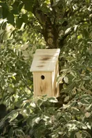 Windhager Nistkasten Family - Tierart: Vogel - Produkttyp: Nistkasten - Detailfarbe: Braun