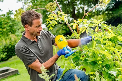 Gloria Feinsprüher Hobby 10, 1 l - Fassungsvermögen: 1 l - Detailfarbe: Hellblau - Gerätetyp: Feinsprüher