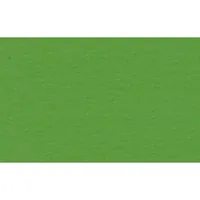 URSUS Tonzeichenpapier A4 2174653 130g, lindengrün 100 Blatt
