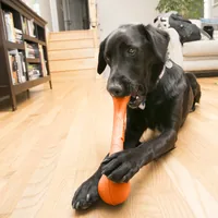 Kong SqueakStix L, 44 cm, orange - Produkttyp: Apportieren - Spielzeug - Tierart: Hund - Detailfarbe: Orange