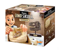 Buki Museum Dino Skull Tyrannosaurus