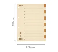 BIELLA Kartonregister A4 46444100U braun/beige 12-teilig