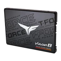 VULCAN Z 256 GB, SSD