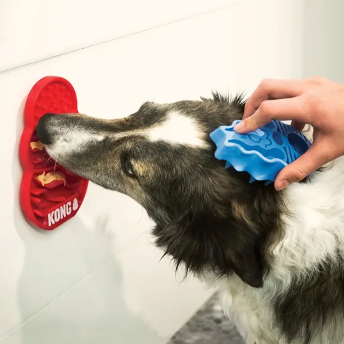 Kong Licks S, 12 x 7.5 x 3 cm, rot - Produkttyp: Futterspender - Tierart: Hund
