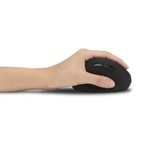 Kensington K79810WW Maus RF Wireless 1600 DPI