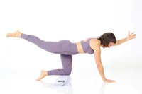 TOGU Pilates Halbrolle Premium - Zubehörtyp: Rolle - Produktkategorie: Sonstiges - Eigenschaften: Keine Eigenschaft - Farbe: Lila