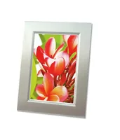 AVERY ZWECKFORM InkJet Fotopapier 10x15cm C2550-50 250g, glossy 50 Blatt