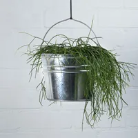 Esschert Design Zinkeimer M Silber - Volumen: 6.9 l - Material: Zink - Form: Rund - Detailfarbe: Silber - Ausstattung: Keine - Einsatzort: Garten - Aussen