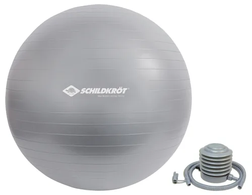 Schildkröt Fitness 960156 exercise ball 65 cm Grey Full-size