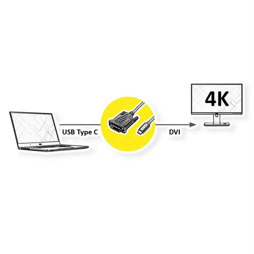 ROLINE 11045831 2 m DVI-D USB Type-C Black