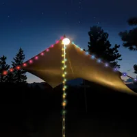 Nite Ize RSLRL-07S-R8 string light 7 m 70 lamp(s) LED