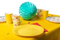 PRO nappe Einwegteller Geburtstag 10 Stück, Mehrfarbig - Produkttyp: Einwegteller - Materialtyp: Papier - Material: Karton - Detailfarbe: Mehrfarbig - Verpackungseinheit: 10 Stück