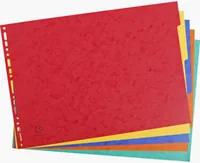 Exacompta Register A3 quer 5 Taben - Einteilung: 1-5 - Überbreite: Nein - Material: Karton - Detailfarbe: Mehrfarbig