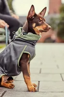 HURTTA Pullover Razzle-Dazzle Midlayer, 55, Dunkelgrau - Hundegrösse: M - Detailfarbe: Dunkelgrau - Produkttyp: Pullover - Tierart: Hund